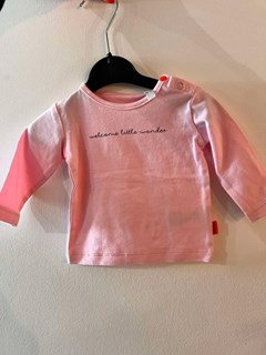 BAMPIDANO Tee rose 9401