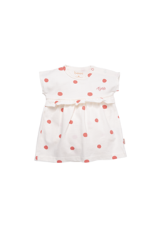 Robe BESS dots 2169