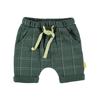 BESS Short quadri 1090