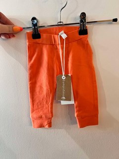 BAMPIDANO Legging orange 0605