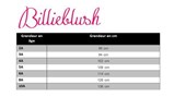sizechartBILLIEBLUSH_large