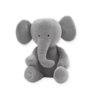 Elephant Storm Grey