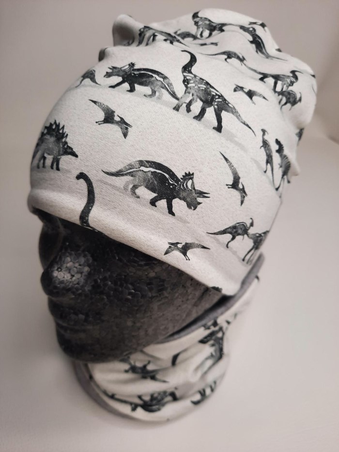 Set hiver dino
